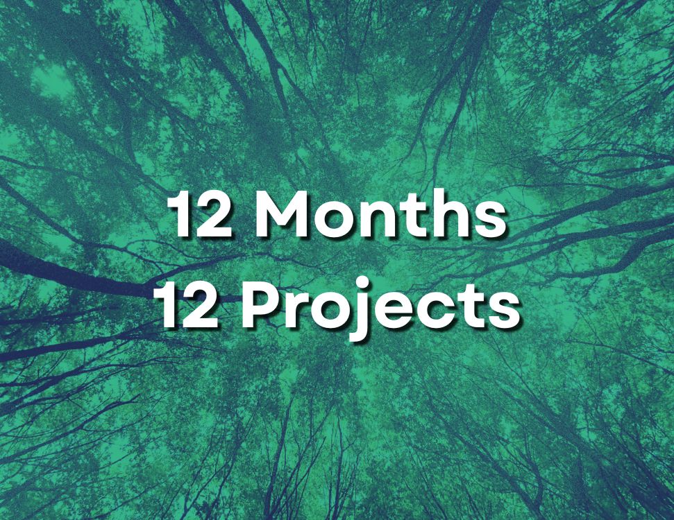 Why I’m Releasing One Project Every Month
